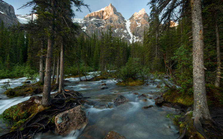 nature, Landscapes, Rivers, Trees, Forest, Mountains HD Wallpaper Desktop Background