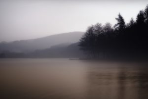 nature, Landscapes, Lakes, Trees, Forest, Fog, Sky