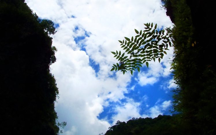 nature, Landscapes, Plants, Leaves, Tunnel, Sky, Clouds HD Wallpaper Desktop Background