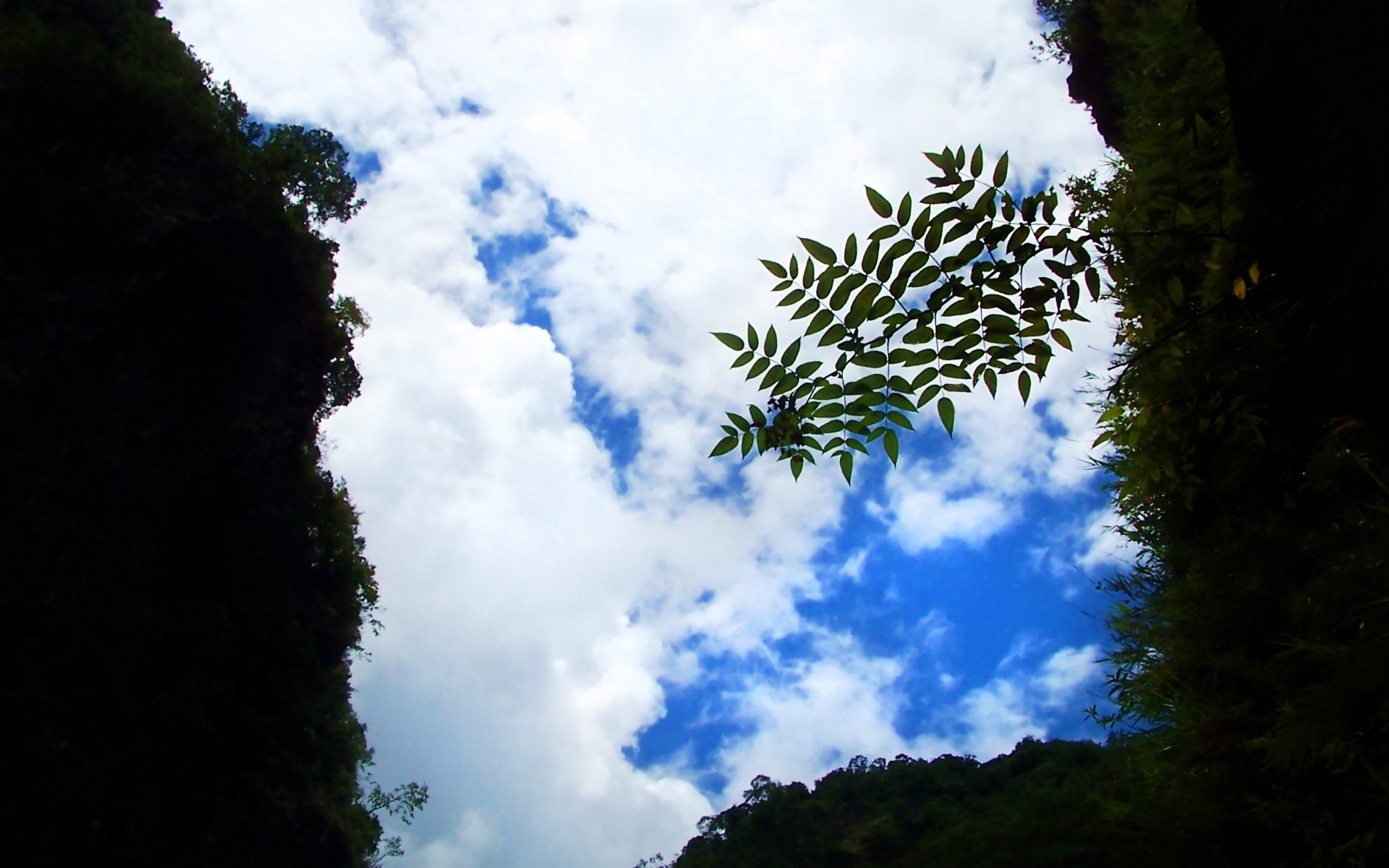 nature, Landscapes, Plants, Leaves, Tunnel, Sky, Clouds Wallpaper