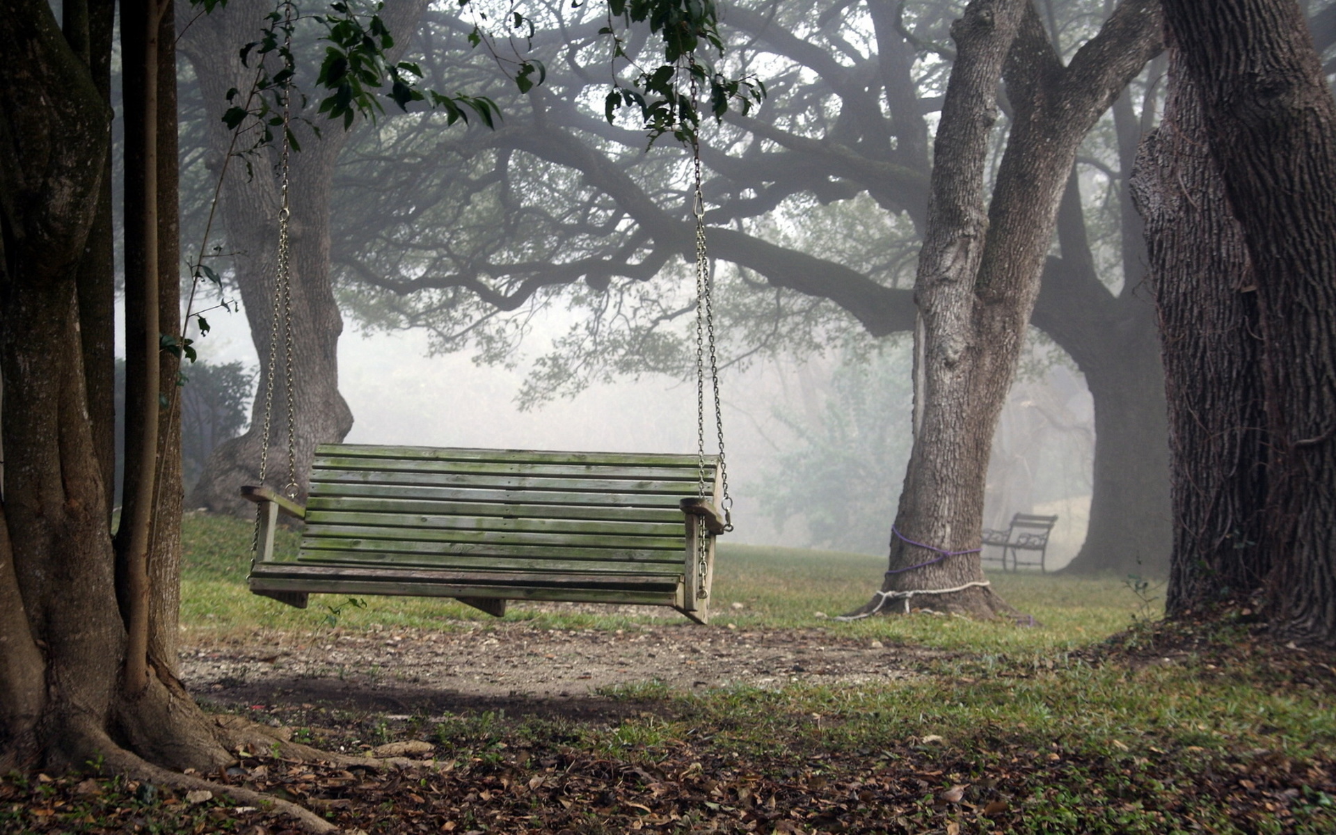 mood, Landscapes, Swing, Bench, Chair, Fog Wallpaper