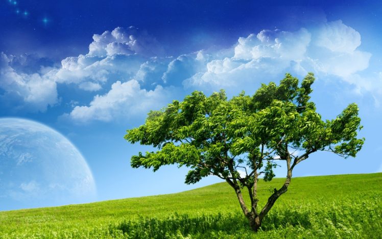 landscapes, Nature, Trees, Fields HD Wallpaper Desktop Background