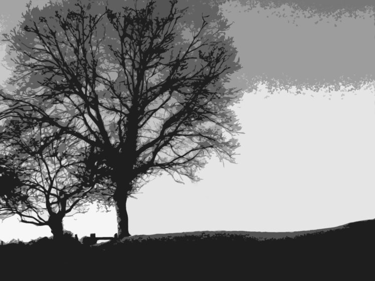 black, And, White, Minimalistic, Trees HD Wallpaper Desktop Background