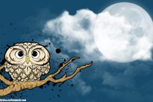 twilight, Animals, Moon, Owls