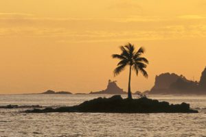 sunset, Ocean, Islands, Coconut, Tree