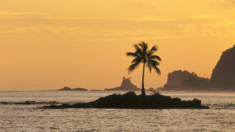 sunset, Ocean, Islands, Coconut, Tree HD Wallpaper Desktop Background