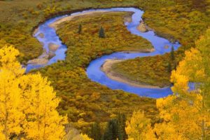 landscapes, Forests, National, Colorado, Rivers, Marsh, Creek, Flood, Plain