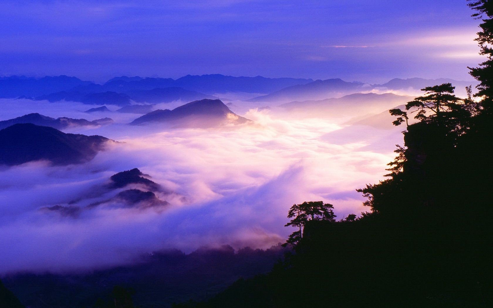 trees, Forests, Hills, Mist Wallpaper