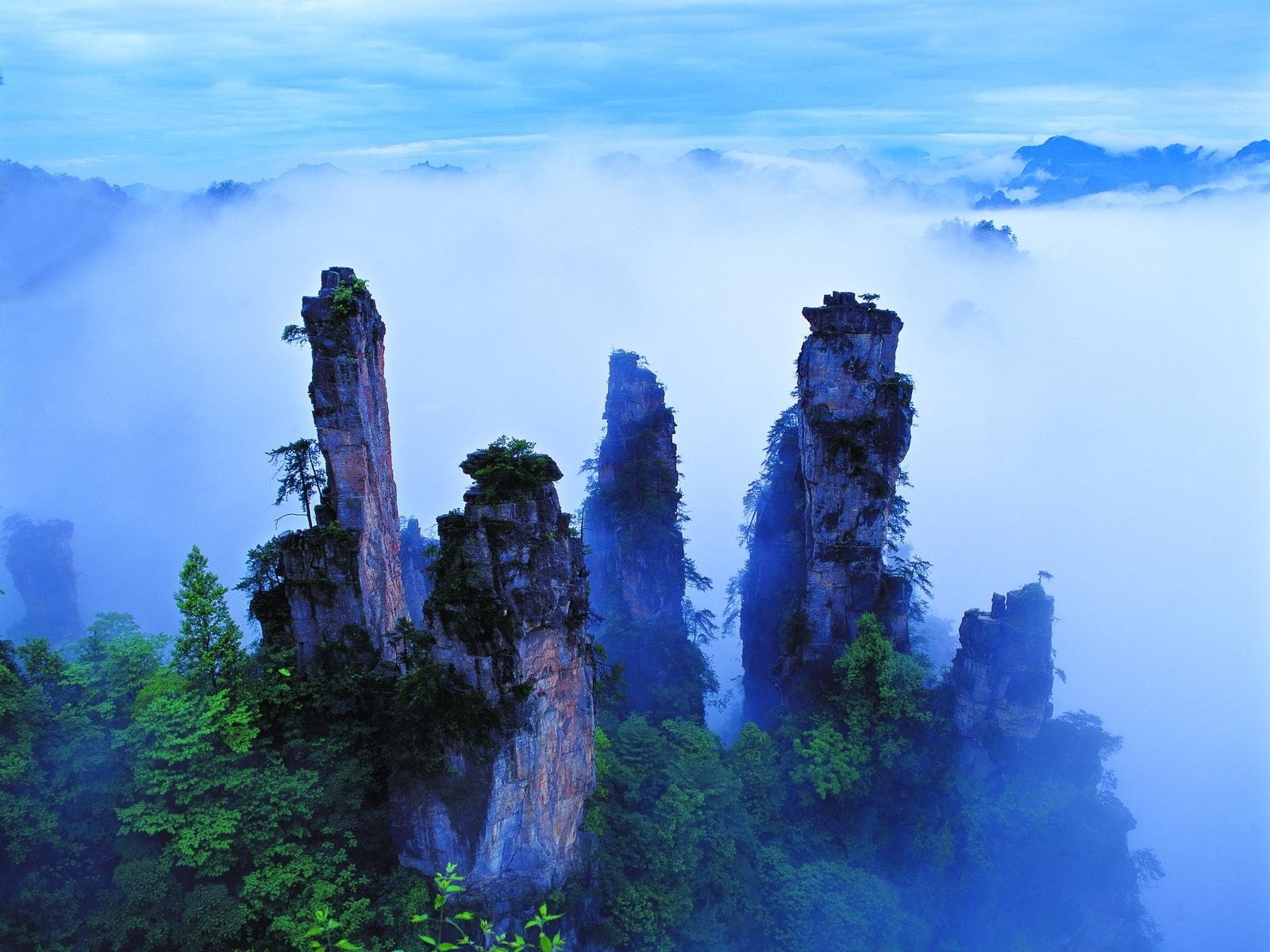 mountains, Forests, China, Mount Wallpaper