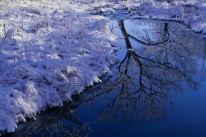 landscapes, Winter, Reflections