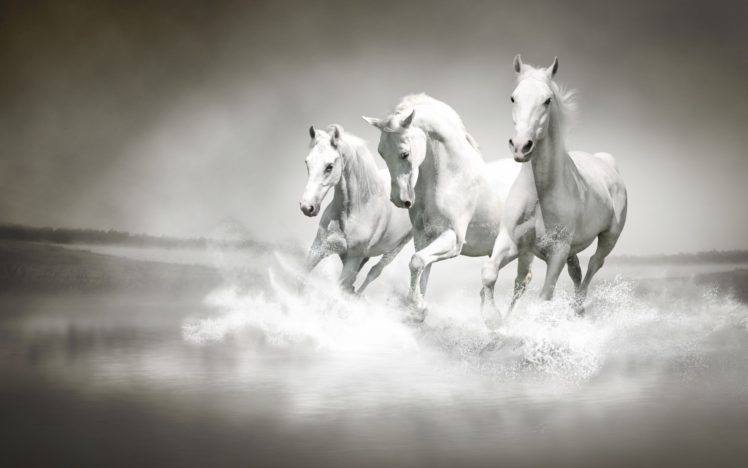horses, Cg, Digital, Art, Manipulation, Ocean, Sea, Beaches, Waves HD Wallpaper Desktop Background
