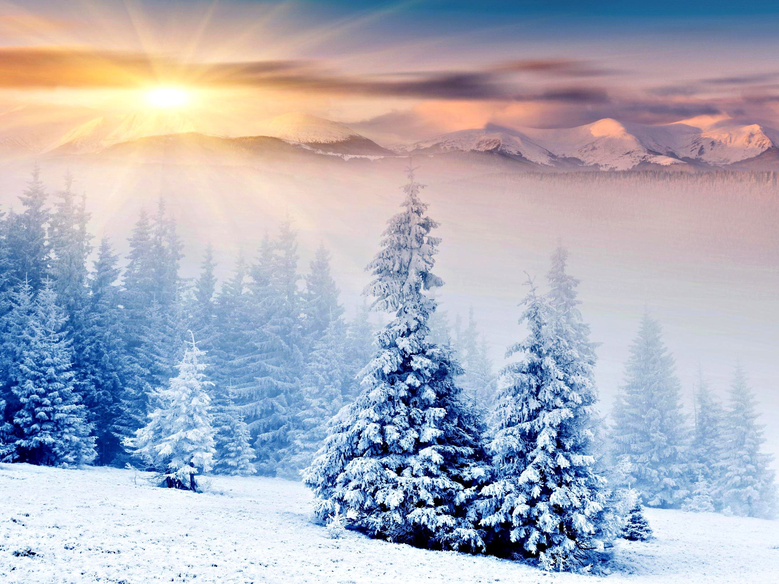 landscapes, Winter, Snow, Trees, Hdr, Photography Wallpaper