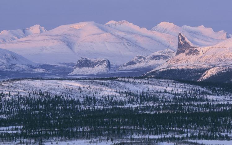 landscapes, Trees, Forest, Snow, Winter HD Wallpaper Desktop Background