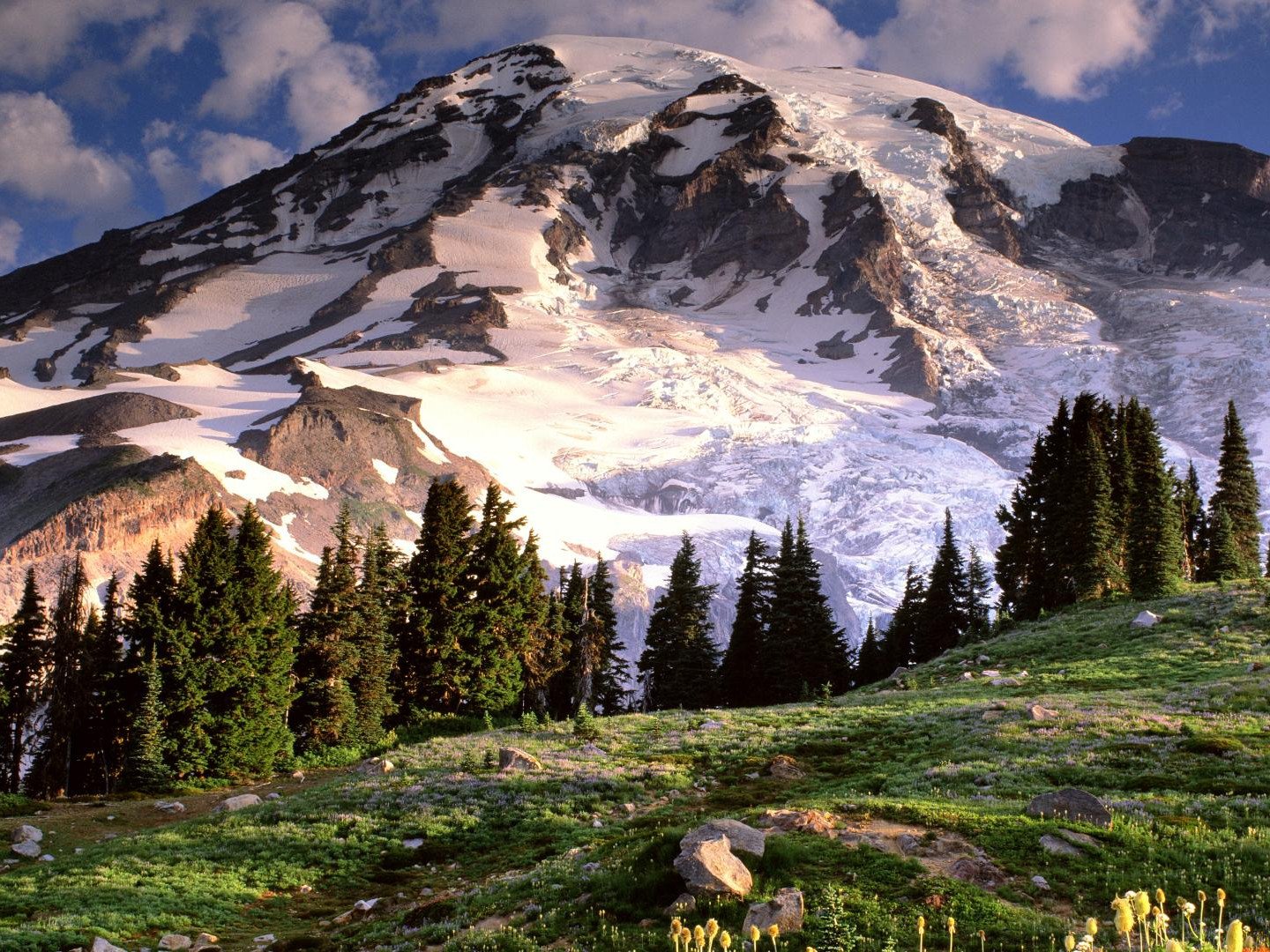 mountains, Landscapes, Nature, Trees, Mount, Rainier, Wildflowers Wallpaper