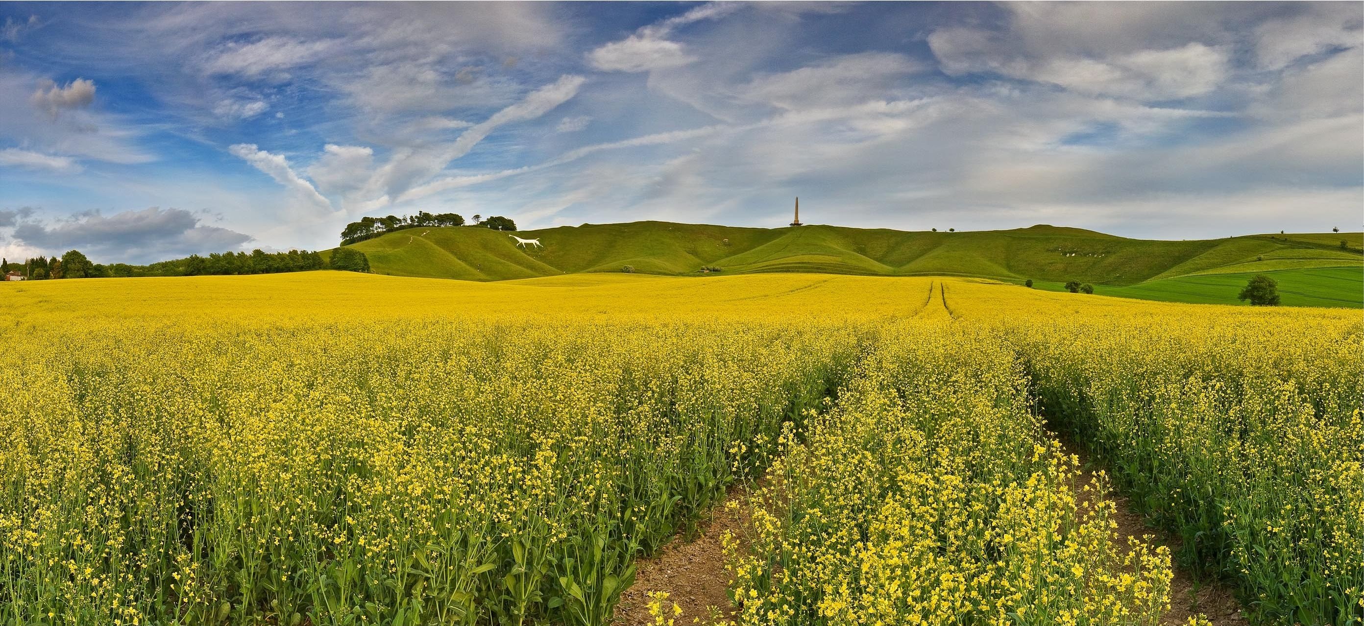 cherhill, White, Horse, And, Obelisk, Wiltshire, England Wallpaper