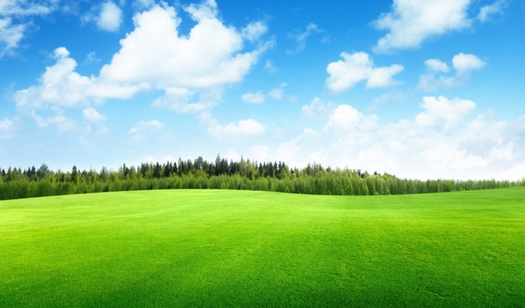 clouds, Trees, Field, Of, Grass, Beautiful, Nature, Landscape, Sky HD Wallpaper Desktop Background