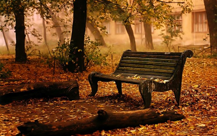 landscapes, Bench, Chair, Seat, Autumn, Fall, Leaves, Trees, Mood HD Wallpaper Desktop Background