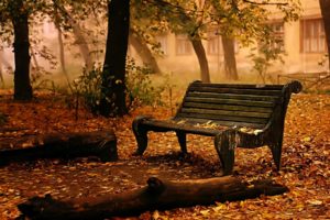 landscapes, Bench, Chair, Seat, Autumn, Fall, Leaves, Trees, Mood