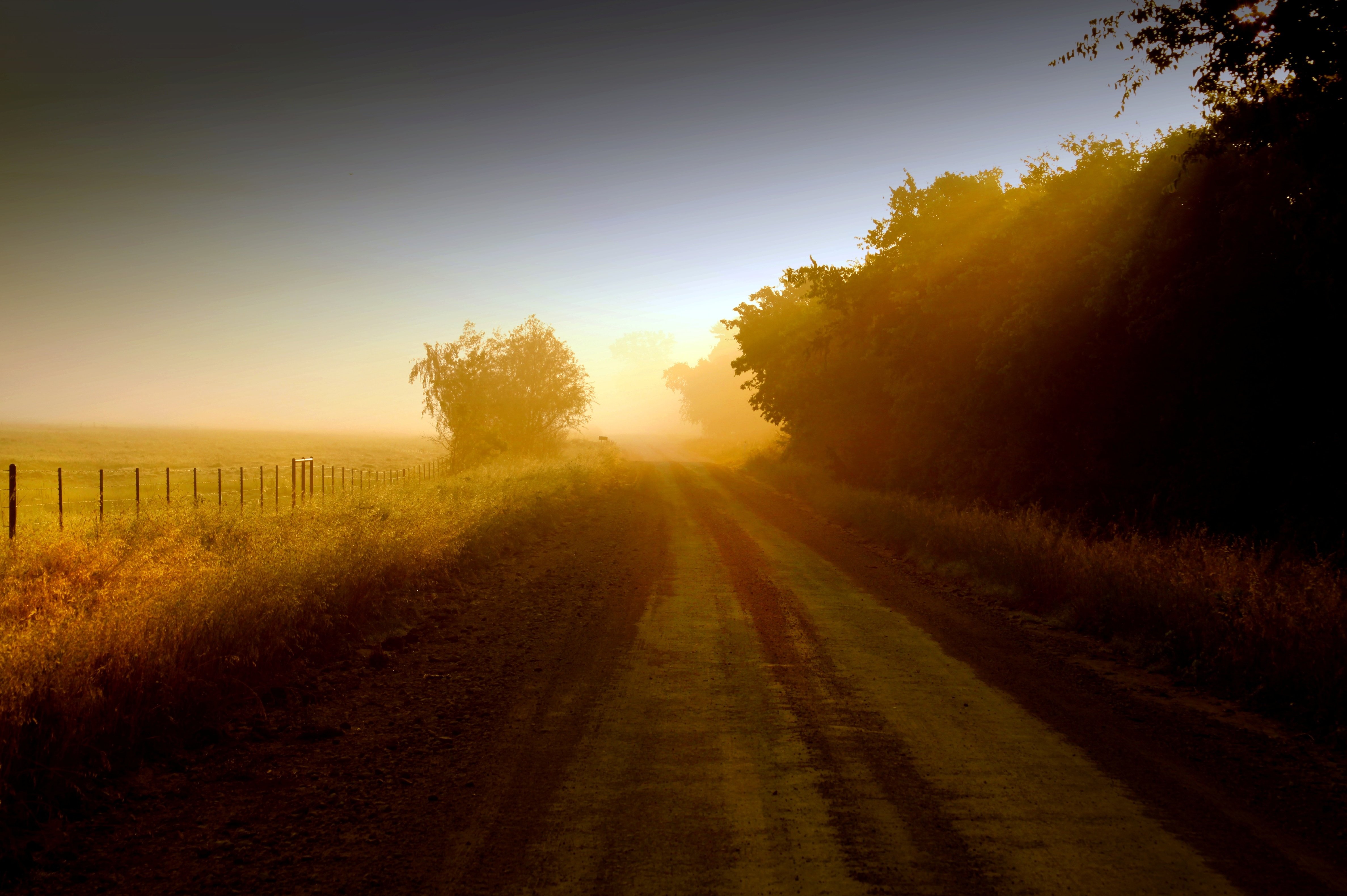 fence, Grass, Mood, Dawn, Sunrise, Road, Sunlight Wallpaper