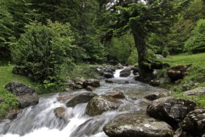 forest, River, Rocks, Landscape, Waterfall