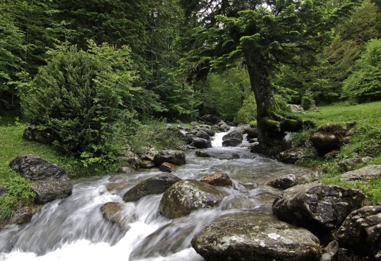 forest, River, Rocks, Landscape, Waterfall HD Wallpaper Desktop Background