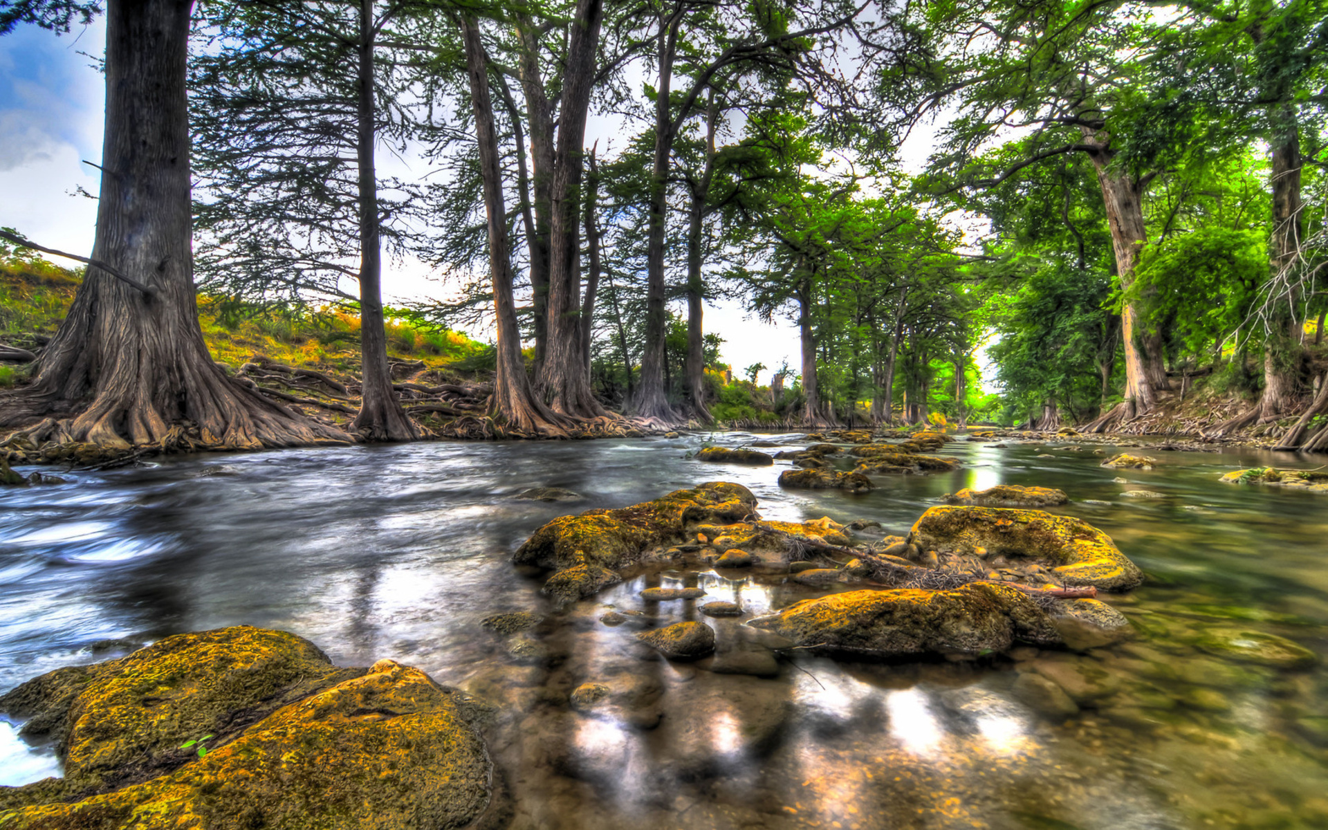 landscapes, Water, Reflection, Rock, Trees, Forest, Hdr Wallpaper
