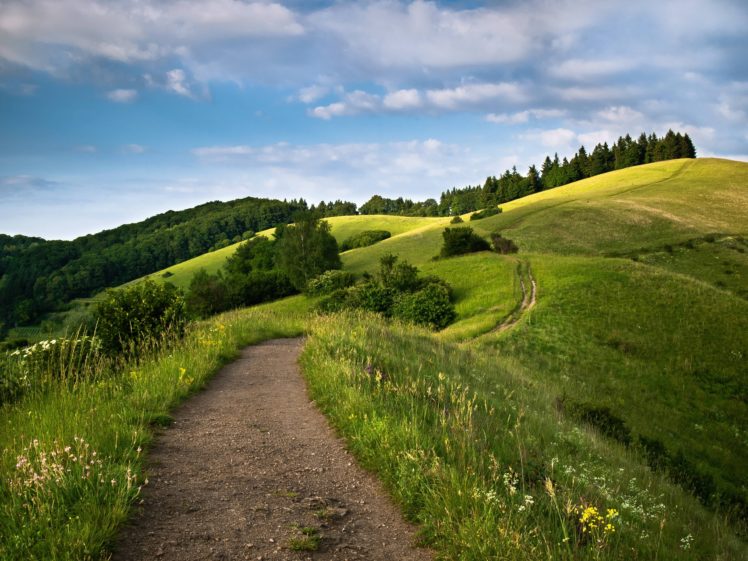 hills, Road, Trees, Landscape HD Wallpaper Desktop Background