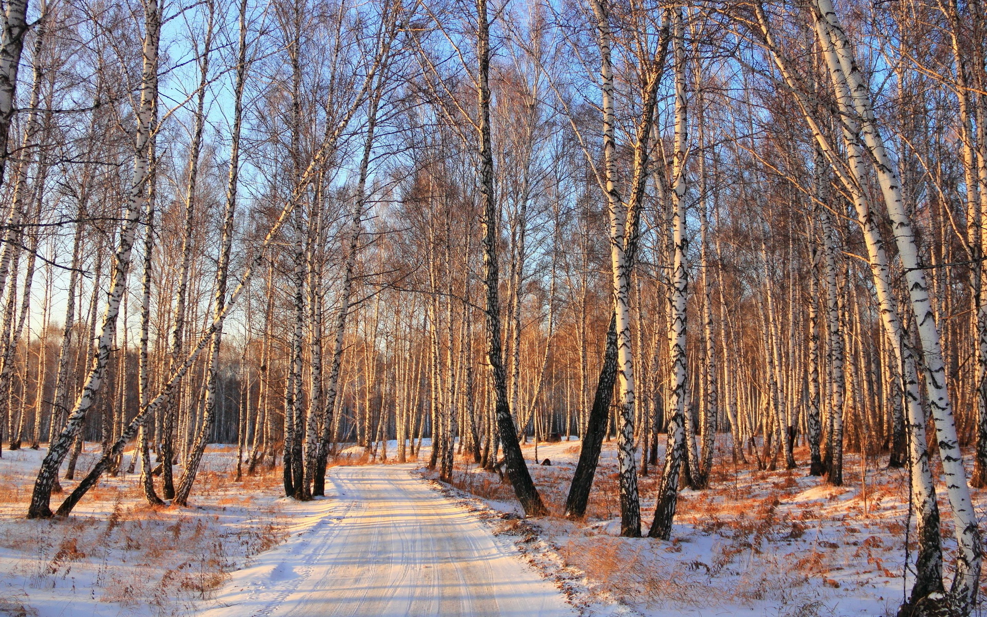 roads, Path, Trail, Landscapes, Forest, Winter, Snow Wallpaper