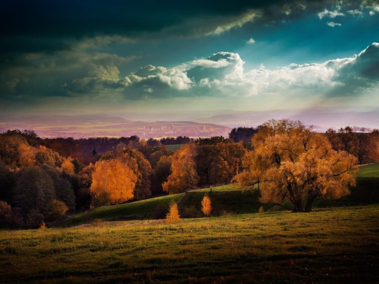 landscapes, Nature, Trees, Autumn, Yellow, Sunlight HD Wallpaper Desktop Background