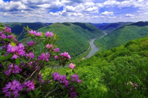 nature, River, Mountains, Flowers