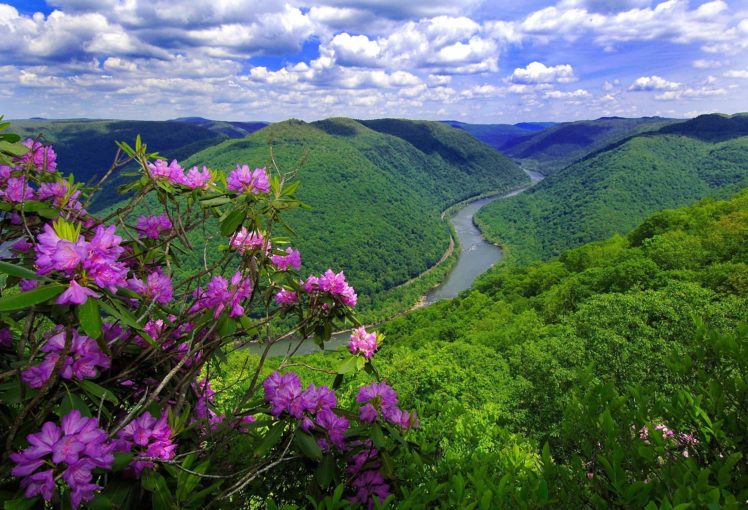 nature, River, Mountains, Flowers HD Wallpaper Desktop Background