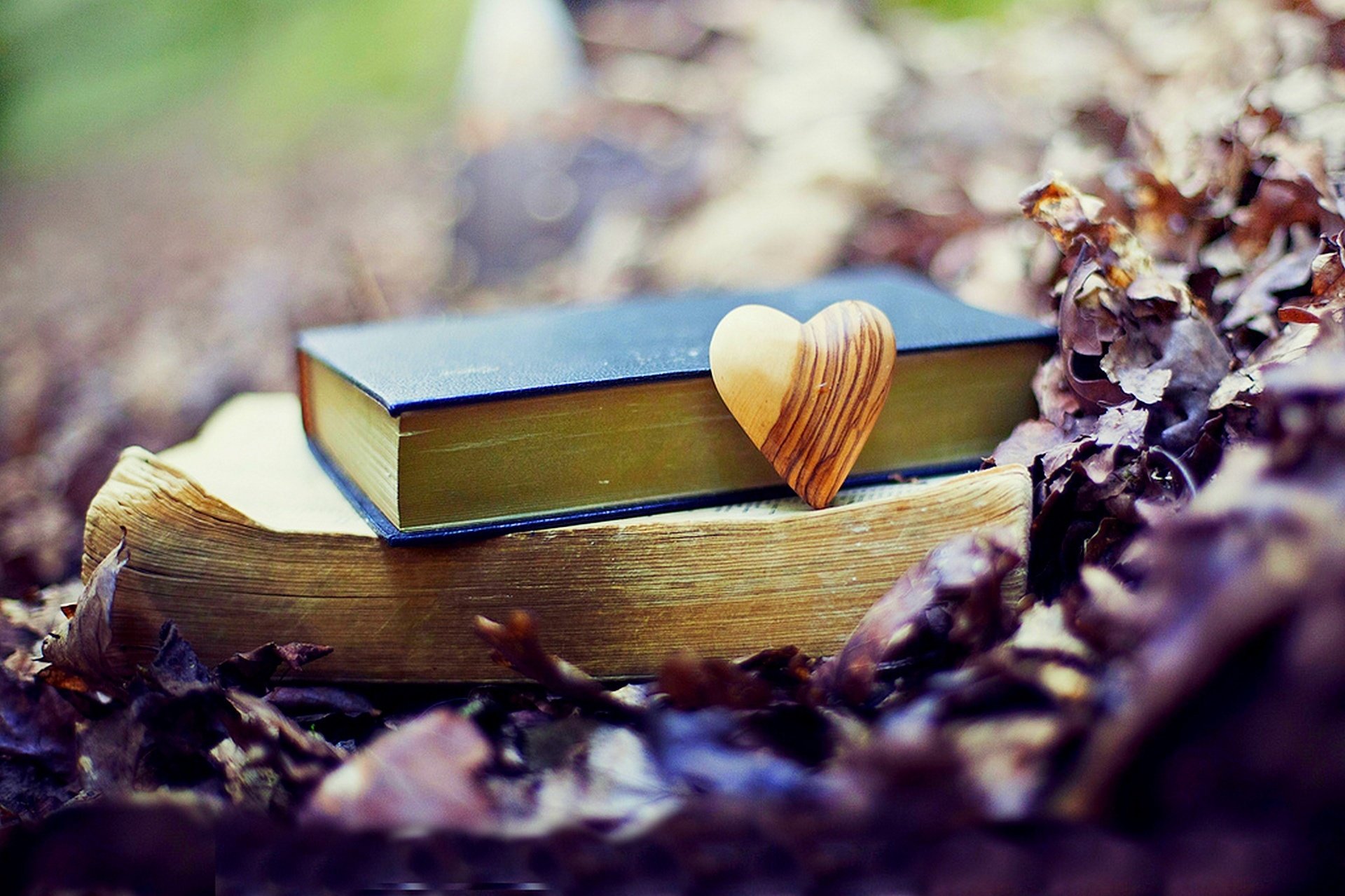 nature, Forest, Old, Book, Leaves, Park, Heart, Love, Fall, Autumn, Bokeh, Mood Wallpaper