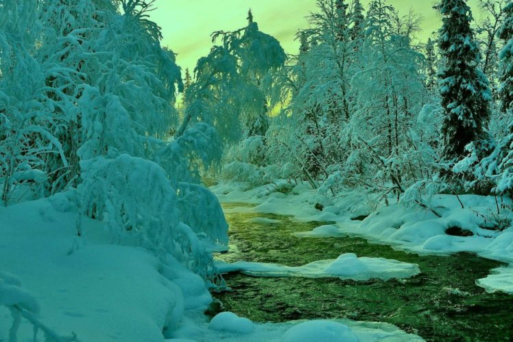 river, Nature, Trees, Landscape, Winter HD Wallpaper Desktop Background