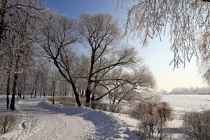 road, Snow, Trees, Winter, Nature