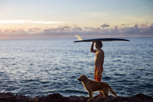surfing, Animals, Dogs, People, Men, Boys, Surfboard, Ocean, Sea, Mood, Sky, Clouds