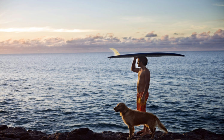 surfing, Animals, Dogs, People, Men, Boys, Surfboard, Ocean, Sea, Mood, Sky, Clouds HD Wallpaper Desktop Background