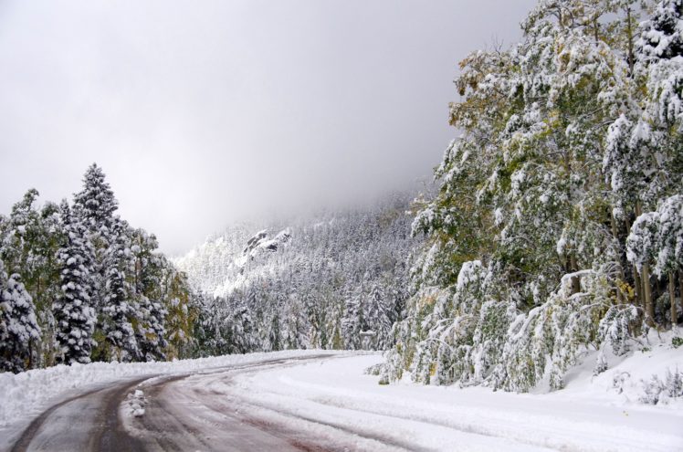 trees, Forest, Road, Fog, Landscape, Winter HD Wallpaper Desktop Background