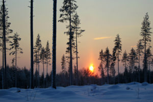 landscapes, Trees, Winter, Snow, Sunset, Sunrise, Sky