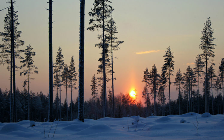 landscapes, Trees, Winter, Snow, Sunset, Sunrise, Sky HD Wallpaper Desktop Background