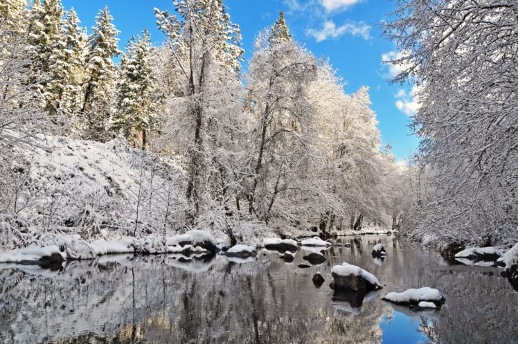 winter, River, Trees, Forest, Landscape, Reflection HD Wallpaper Desktop Background