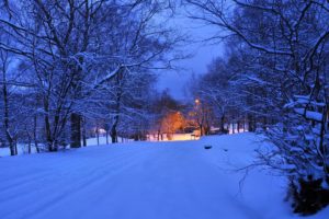 winter, Road, Trees, Lights, Landscape