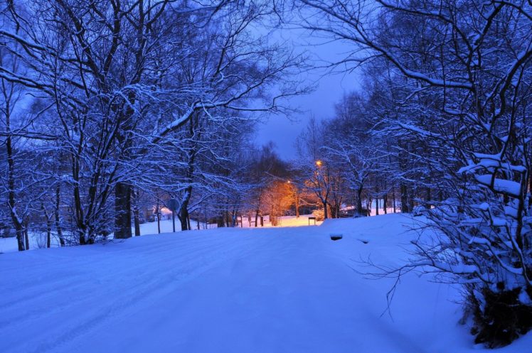winter, Road, Trees, Lights, Landscape HD Wallpaper Desktop Background