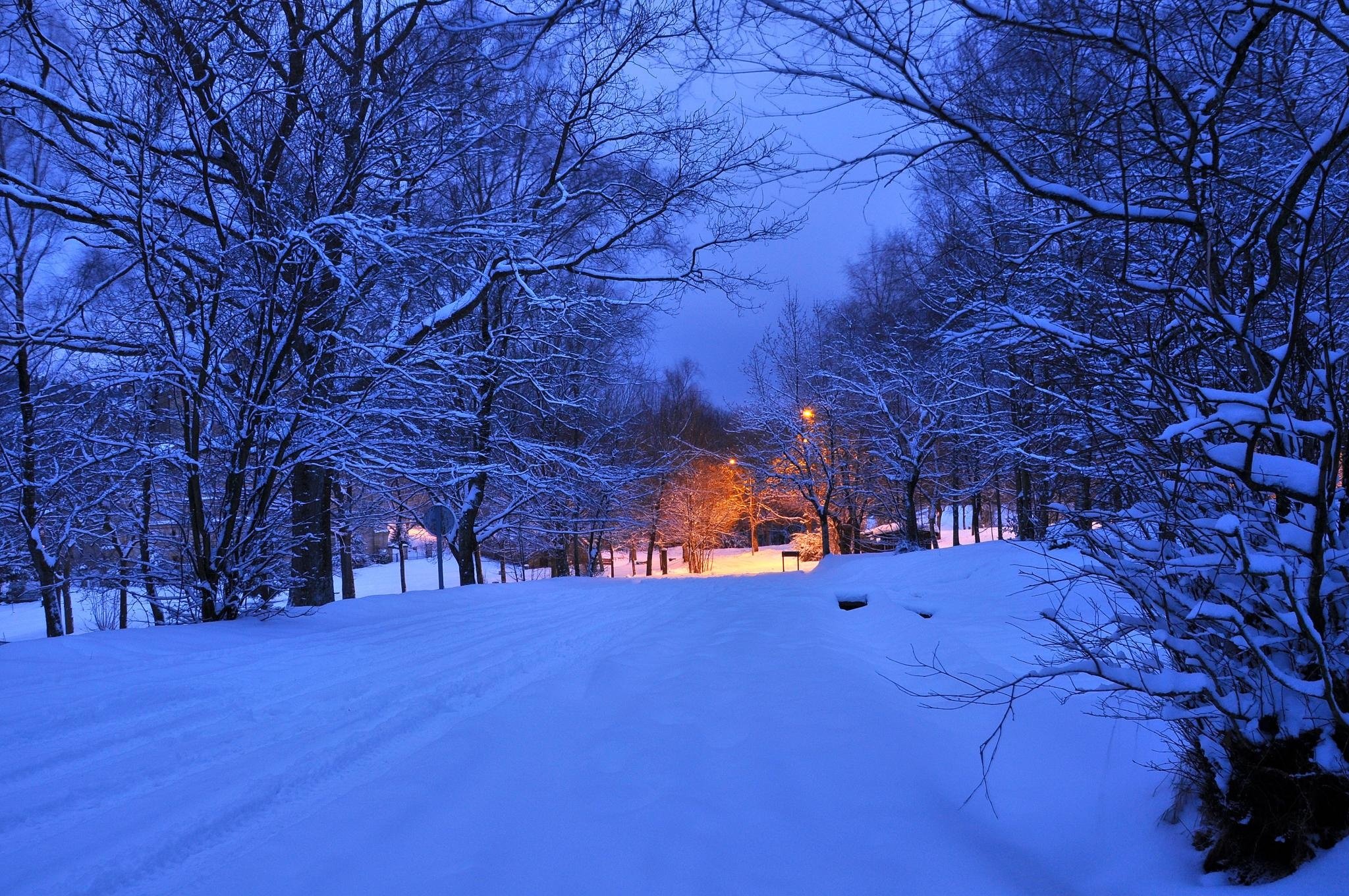 winter, Road, Trees, Lights, Landscape Wallpaper