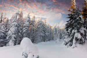 winter, Trees, Mountains, Forest, Snow, Snowdrifts