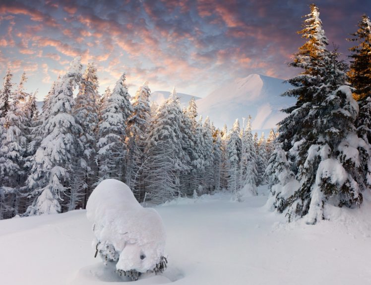winter, Trees, Mountains, Forest, Snow, Snowdrifts HD Wallpaper Desktop Background