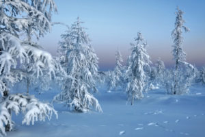 landscapes, Winter, Snow, White