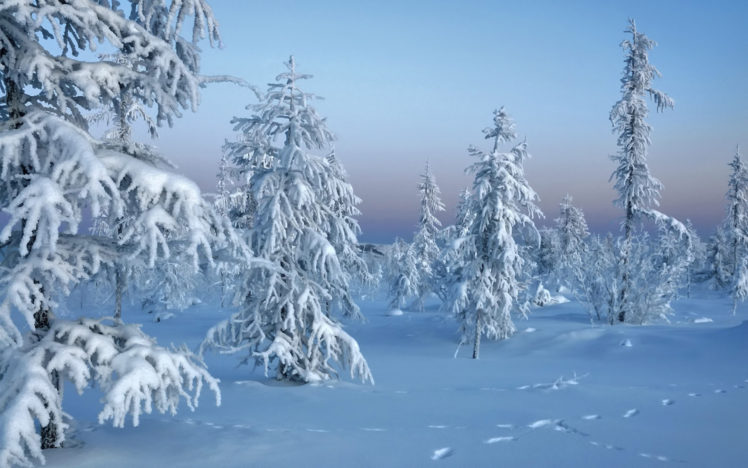 landscapes, Winter, Snow, White HD Wallpaper Desktop Background