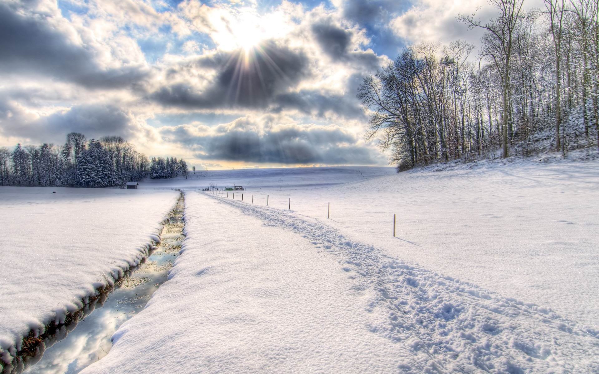 winter, Snow Wallpaper