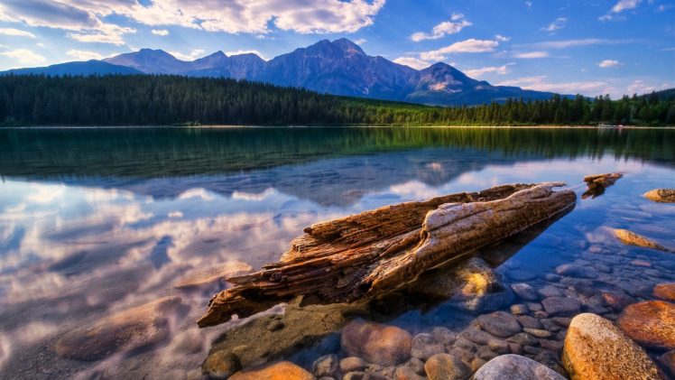 water, Landscapes, Trees, Lakes, Rivers, Reflections HD Wallpaper Desktop Background