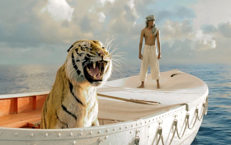 life, Of, Pi, Movies, Tiger HD Wallpaper Desktop Background